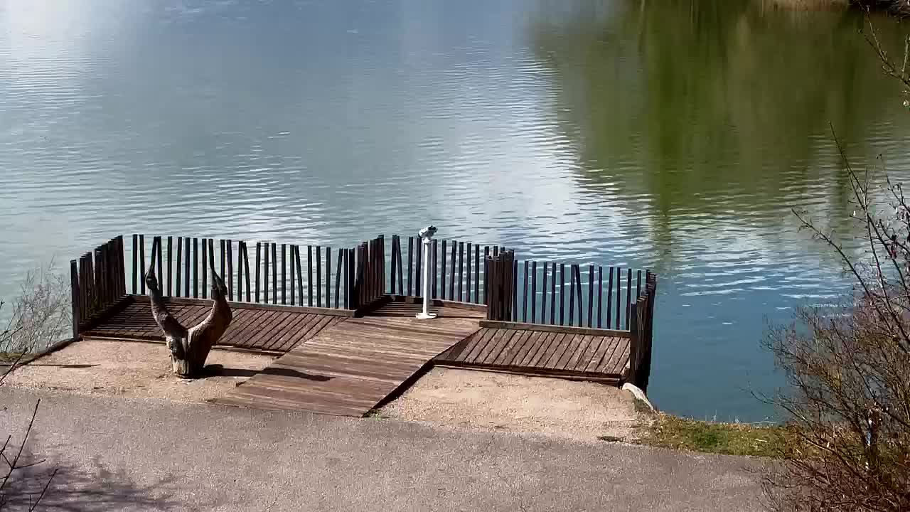 Webcam Ribnik Vrbje – Žalec