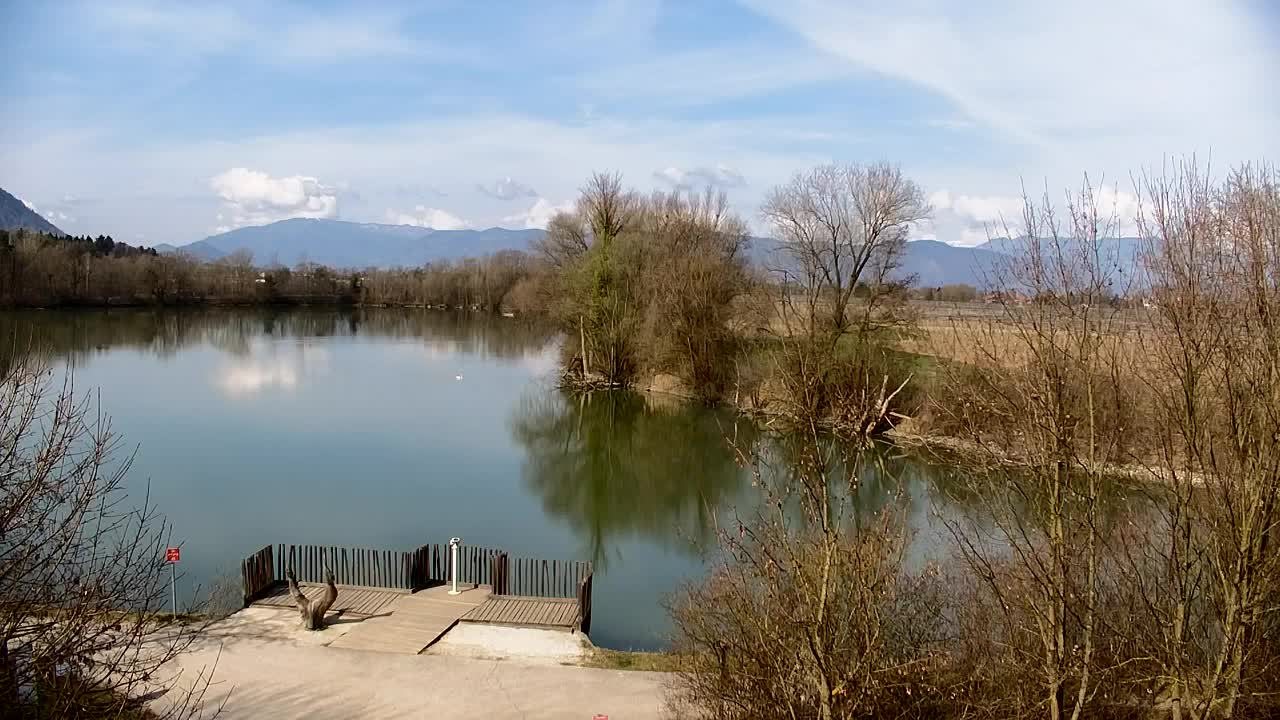 Webcam Ribnik Vrbje – Žalec