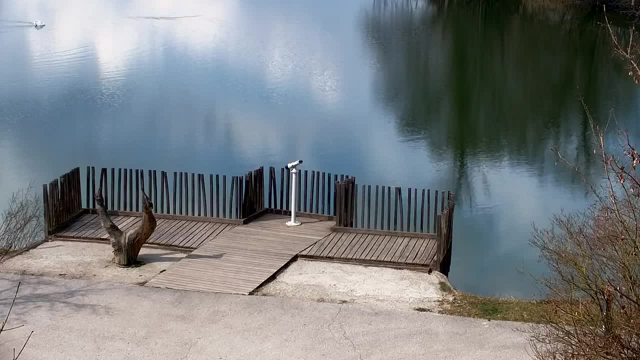 Webcam Ribnik Vrbje – Žalec