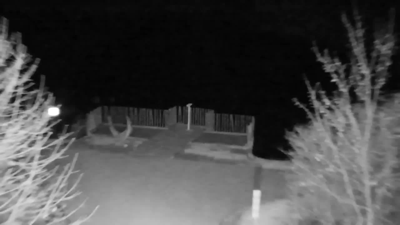 Webcam Ribnik Vrbje – Žalec