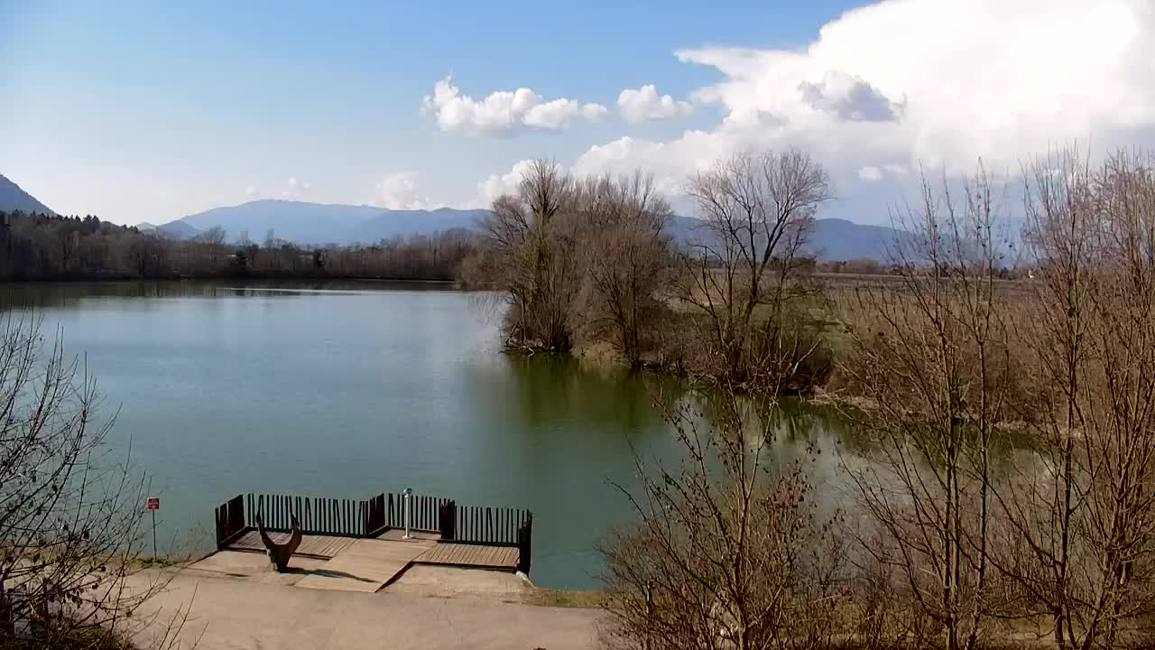 Webcam Ribnik Vrbje – Žalec