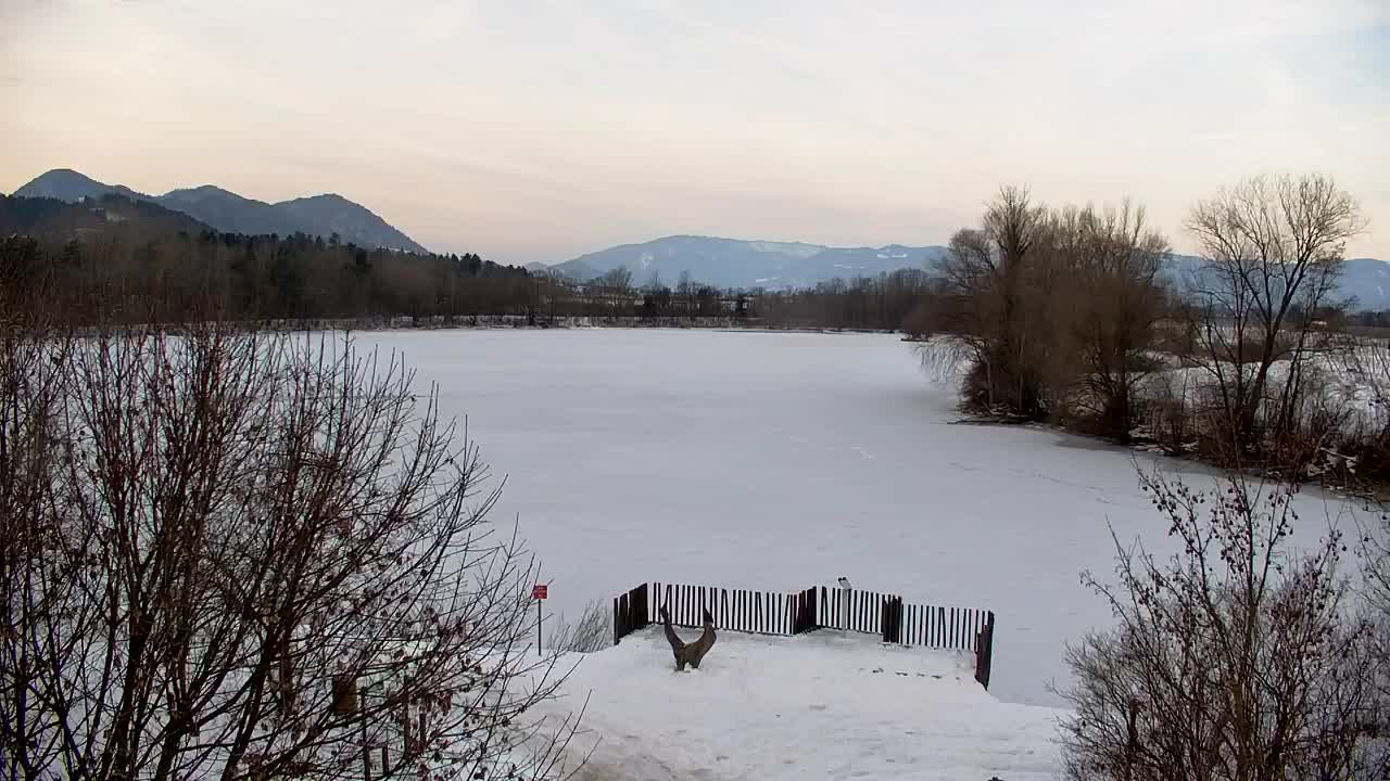 Webcam Ribnik Vrbje – Žalec