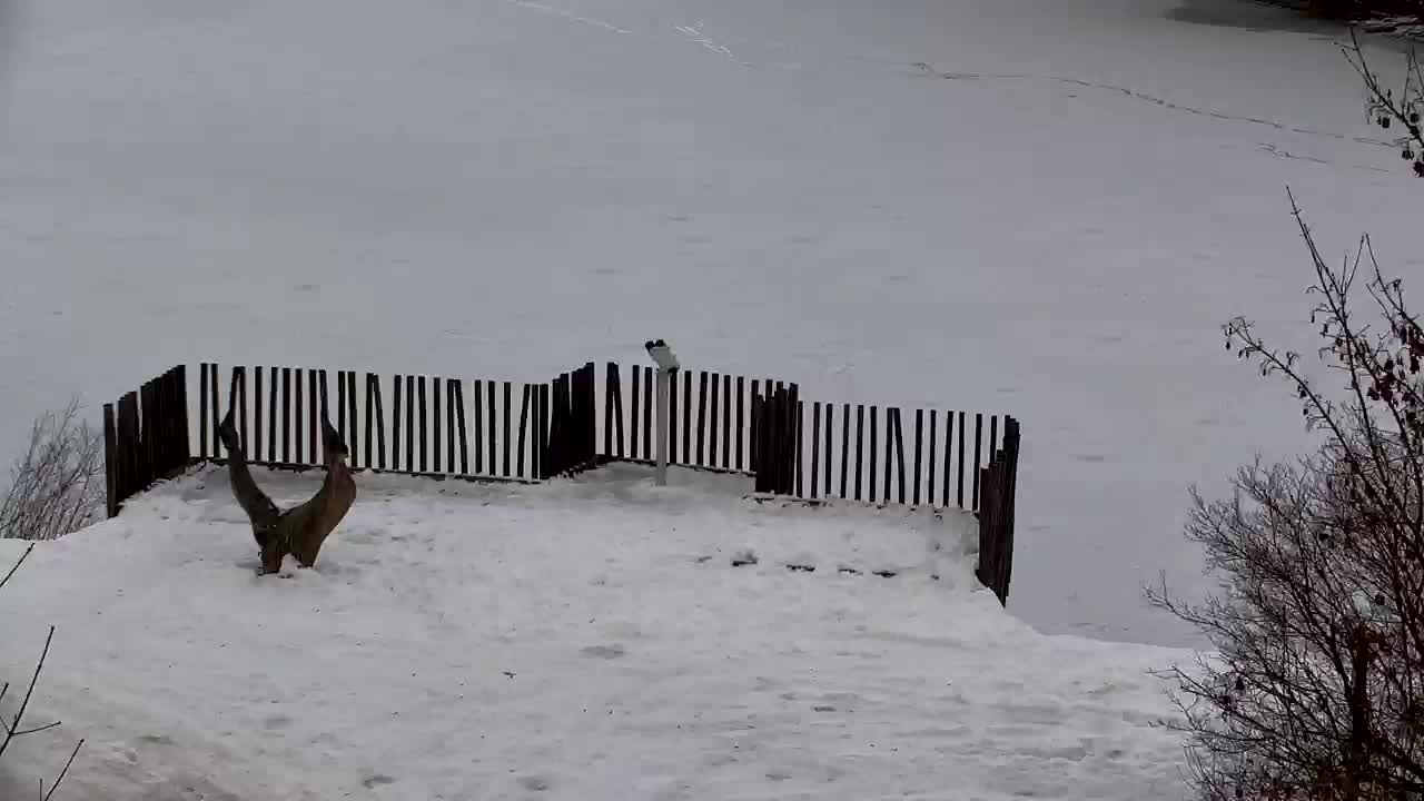 Spletna kamera Ribnik Vrbje – Žalec