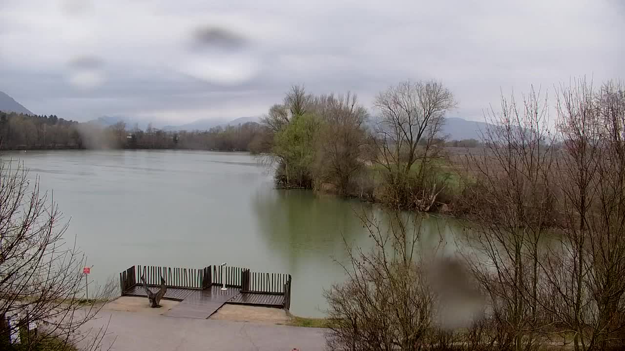 Webcam Ribnik Vrbje – Žalec