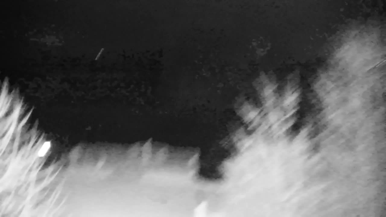 Web kamera Ribnik Vrbje – Žalec