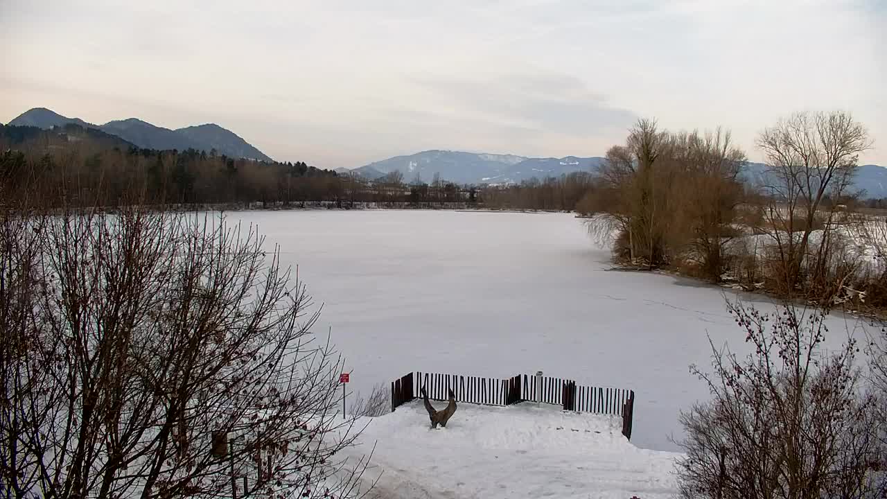 Webcam Ribnik Vrbje – Žalec