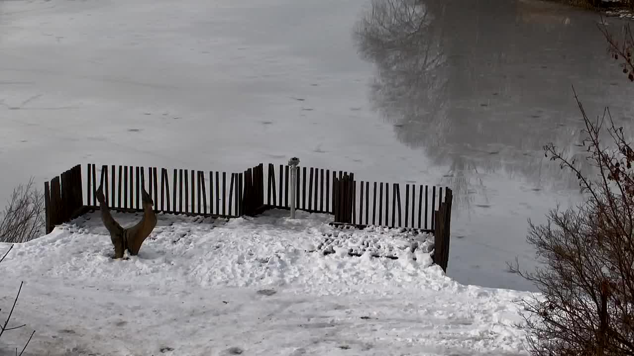 Webcam Ribnik Vrbje – Žalec