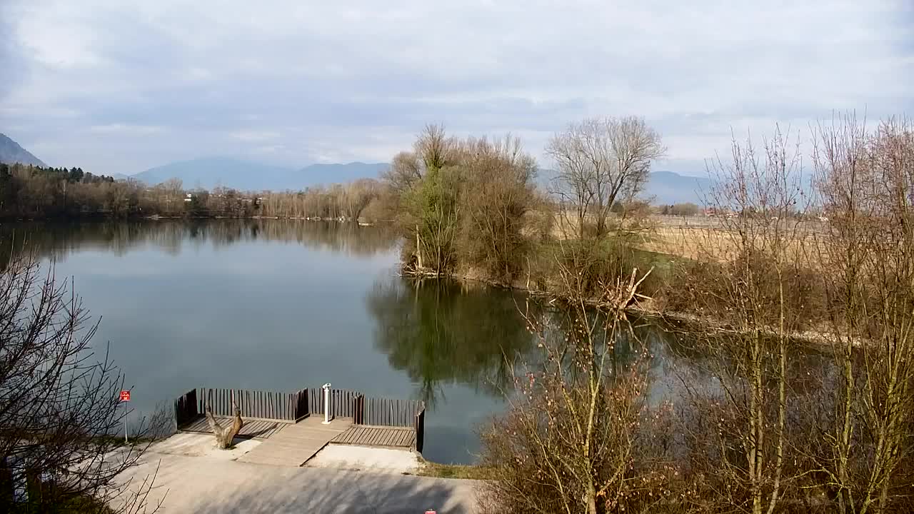 Web kamera Ribnik Vrbje – Žalec