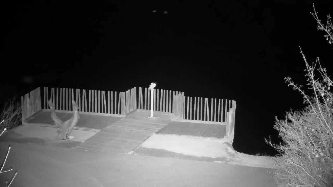 Webcam Ribnik Vrbje – Žalec