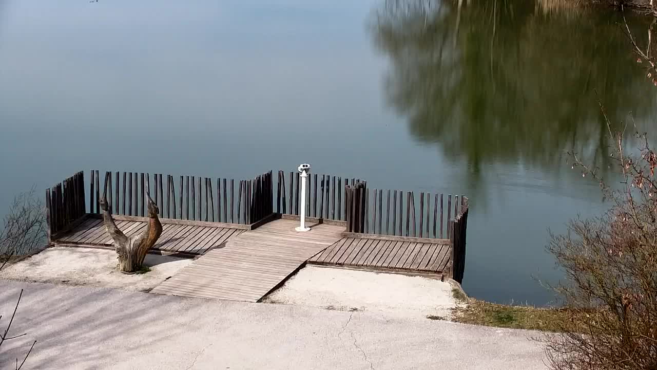 Webcam Ribnik Vrbje – Žalec