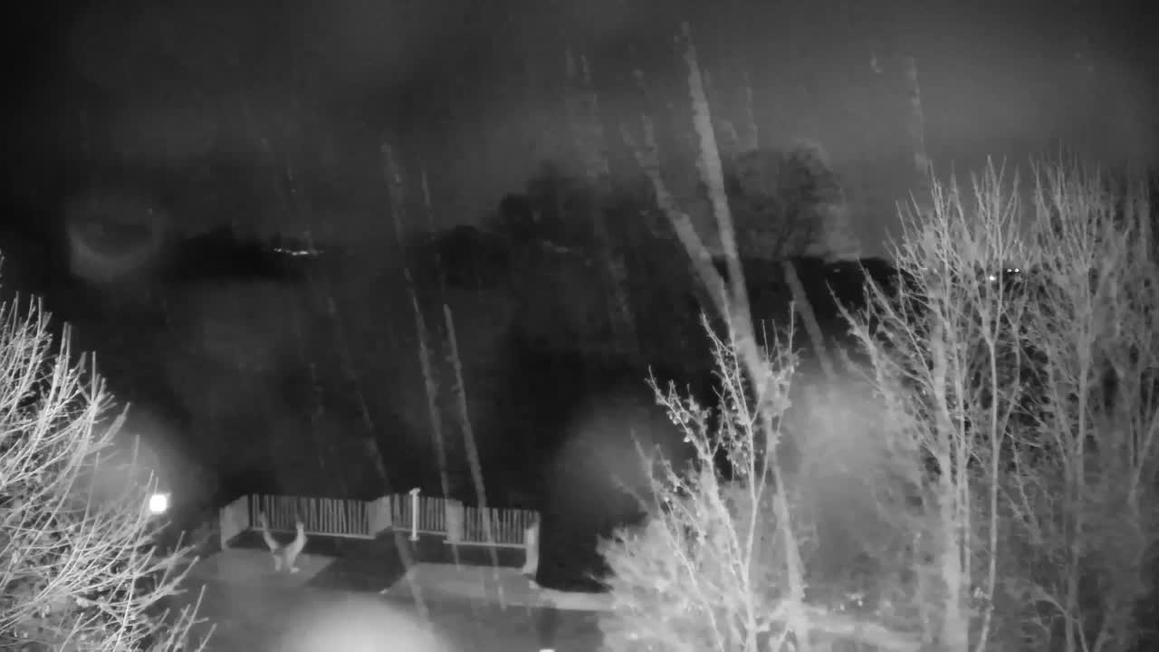 Webcam Ribnik Vrbje – Žalec