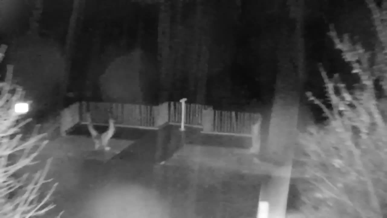 Webcam Ribnik Vrbje – Žalec