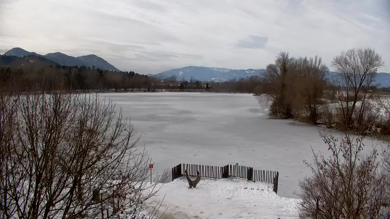 Webcam Ribnik Vrbje – Žalec