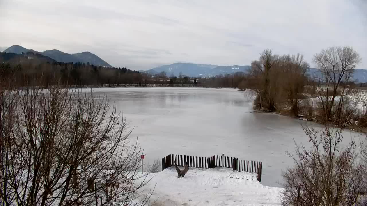 Webcam Ribnik Vrbje – Žalec