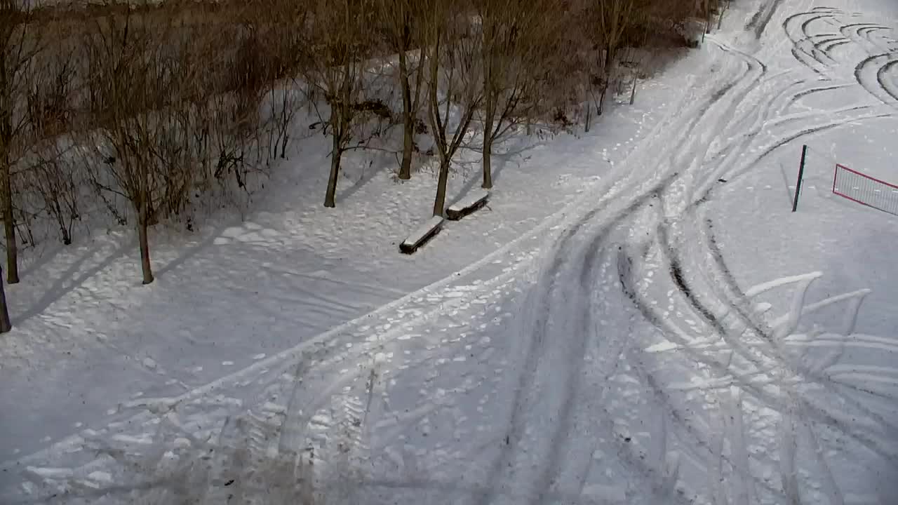 Webcam Ribnik Vrbje – Žalec