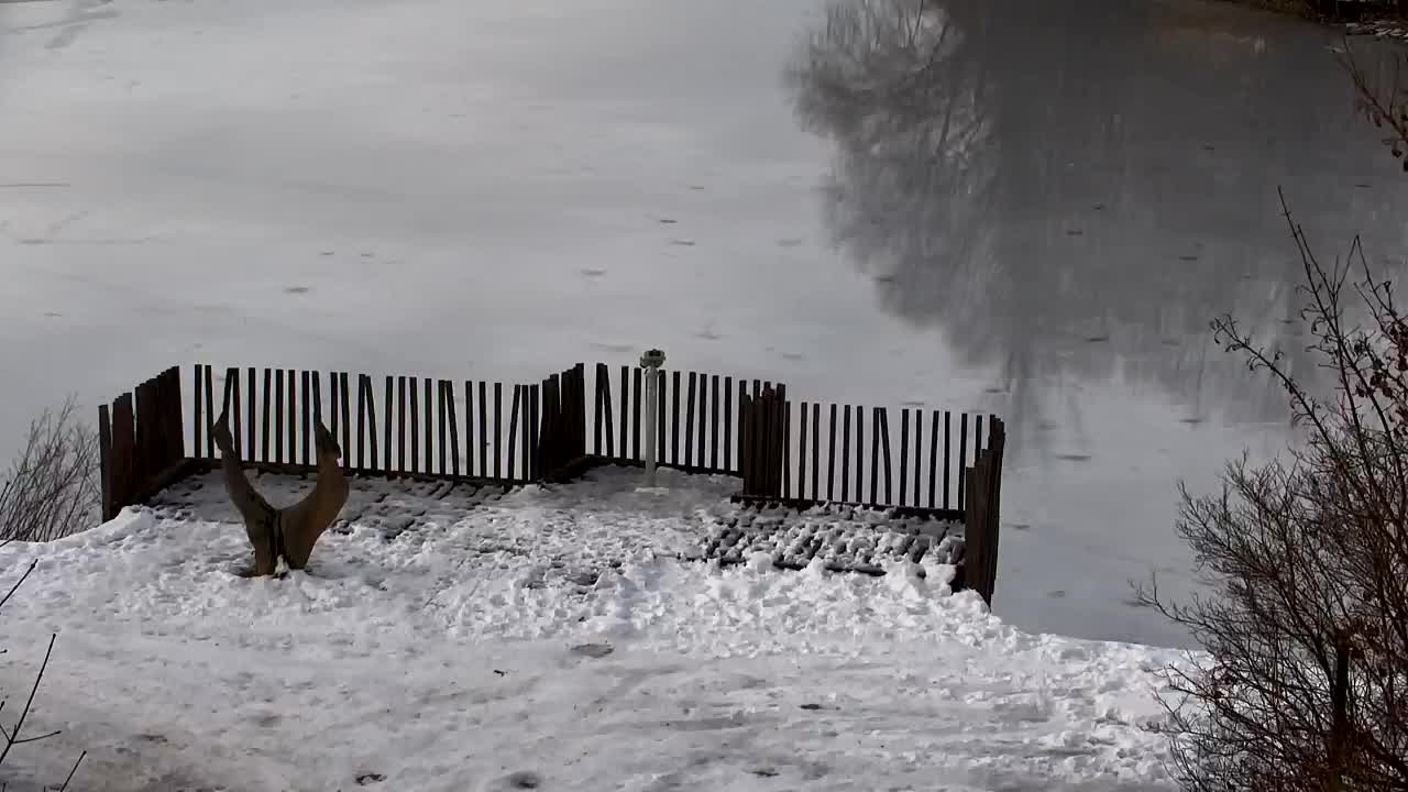 Webcam Ribnik Vrbje – Žalec