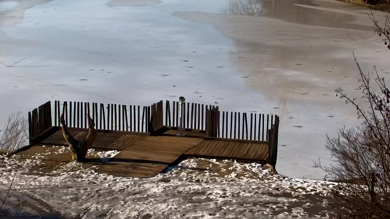 Webcam Ribnik Vrbje – Žalec