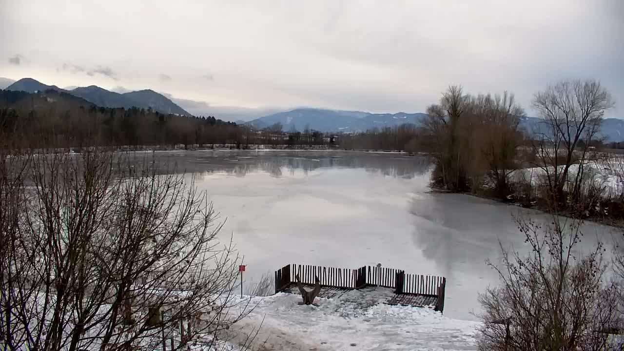 Web kamera Ribnik Vrbje – Žalec