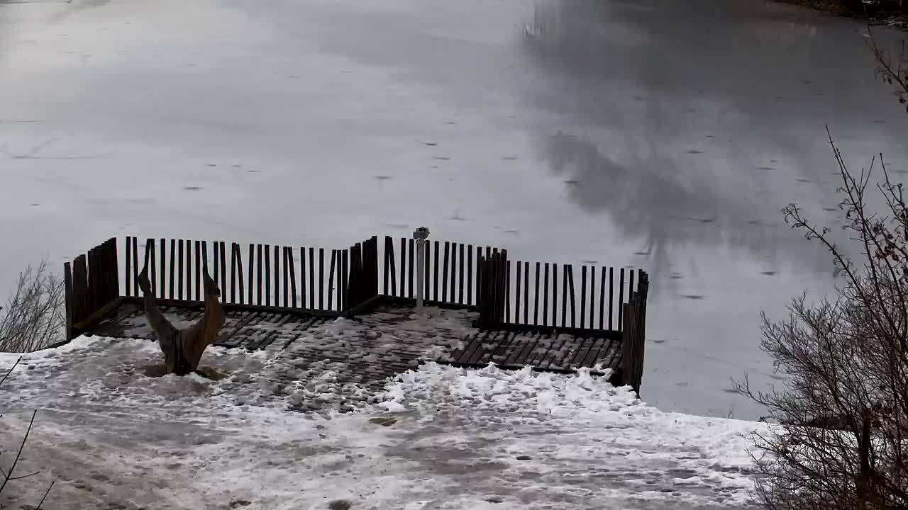 Spletna kamera Ribnik Vrbje – Žalec