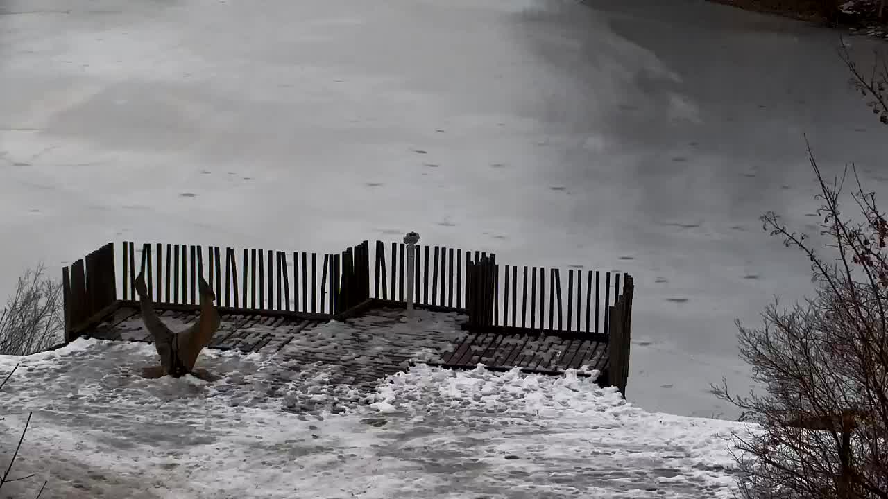 Webcam Ribnik Vrbje – Žalec