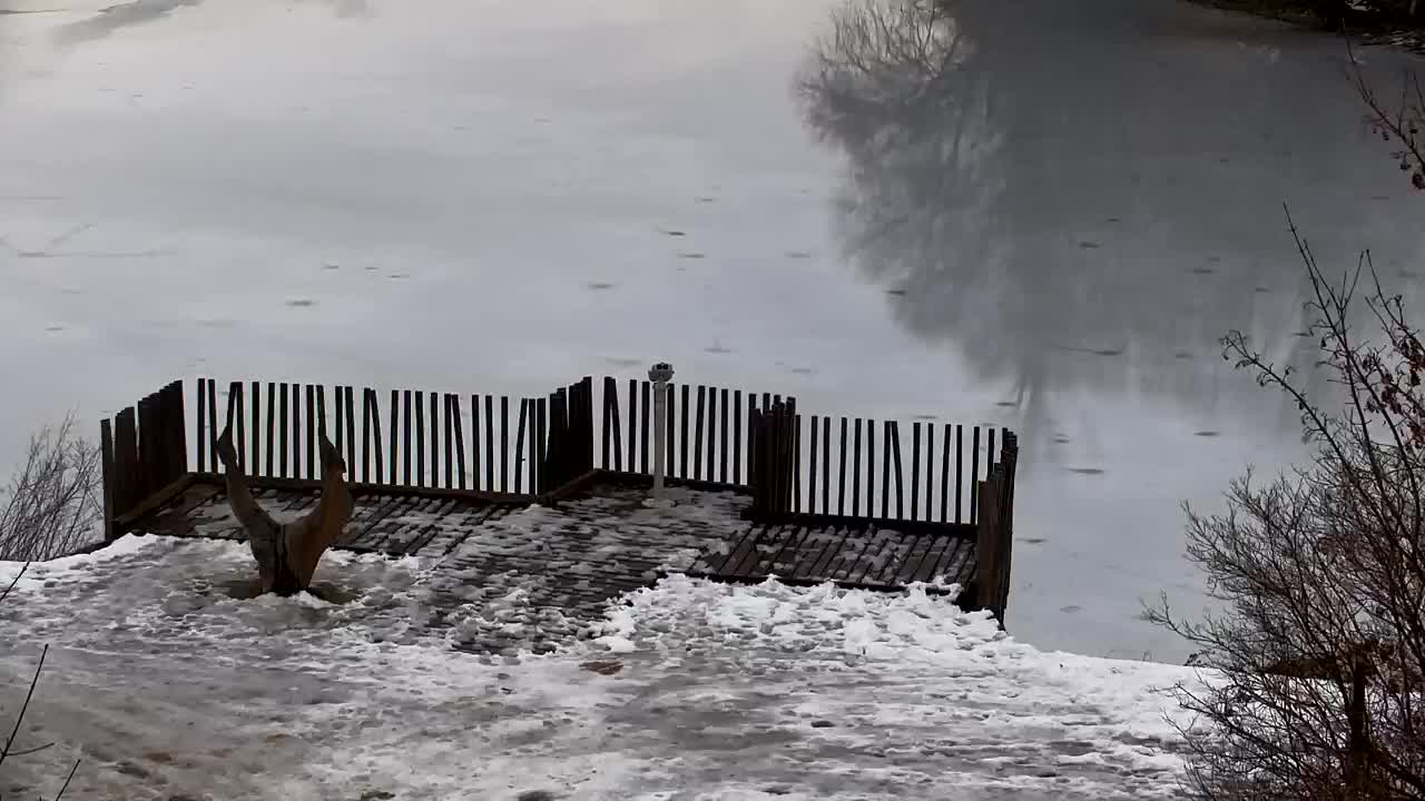 Spletna kamera Ribnik Vrbje – Žalec