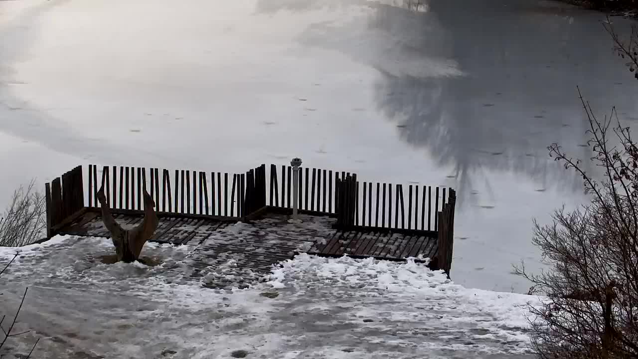 Spletna kamera Ribnik Vrbje – Žalec