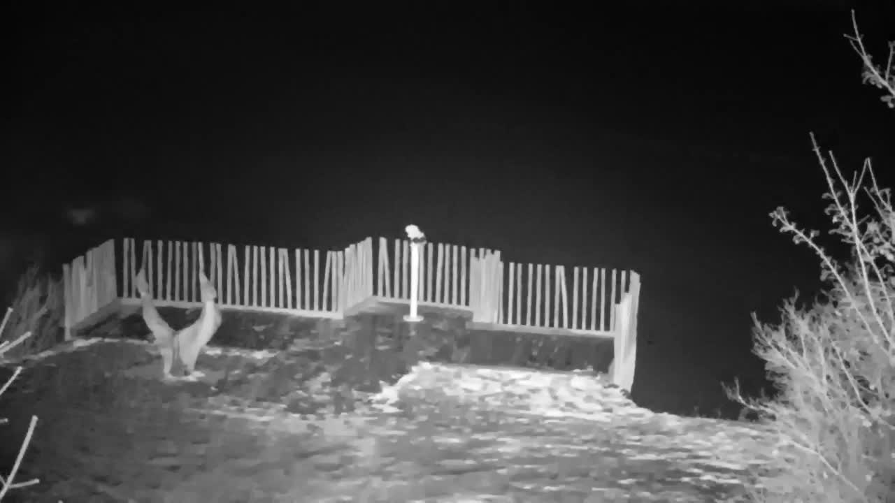 Webcam Ribnik Vrbje – Žalec