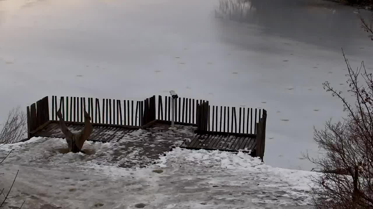 Webcam Ribnik Vrbje – Žalec