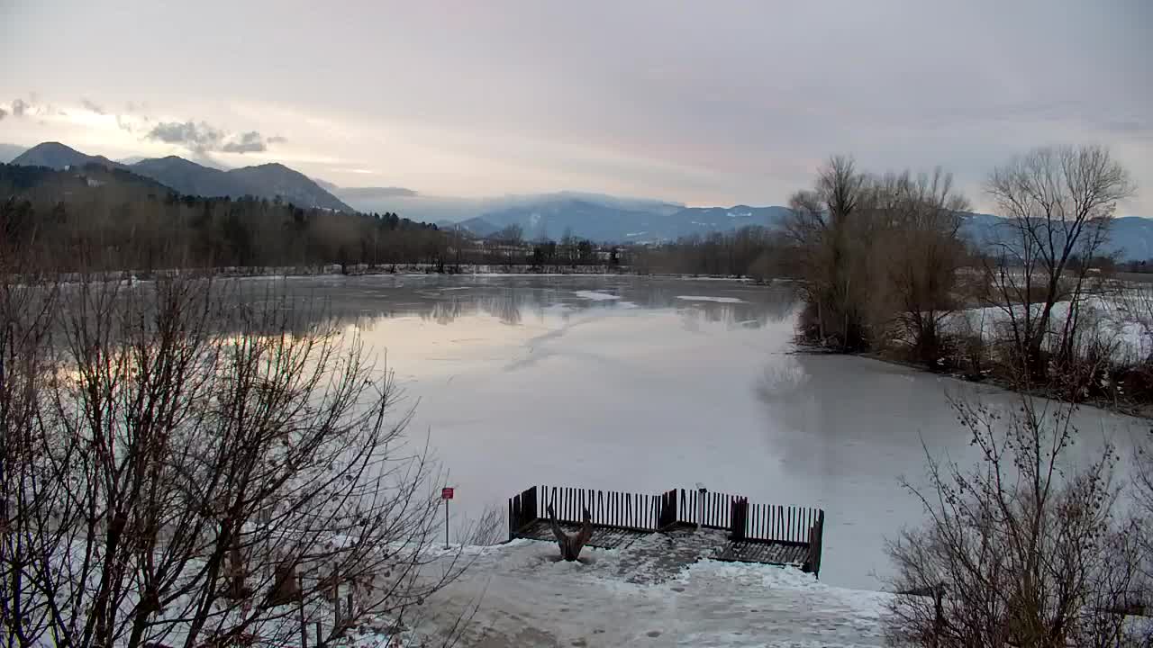 Webcam Ribnik Vrbje – Žalec