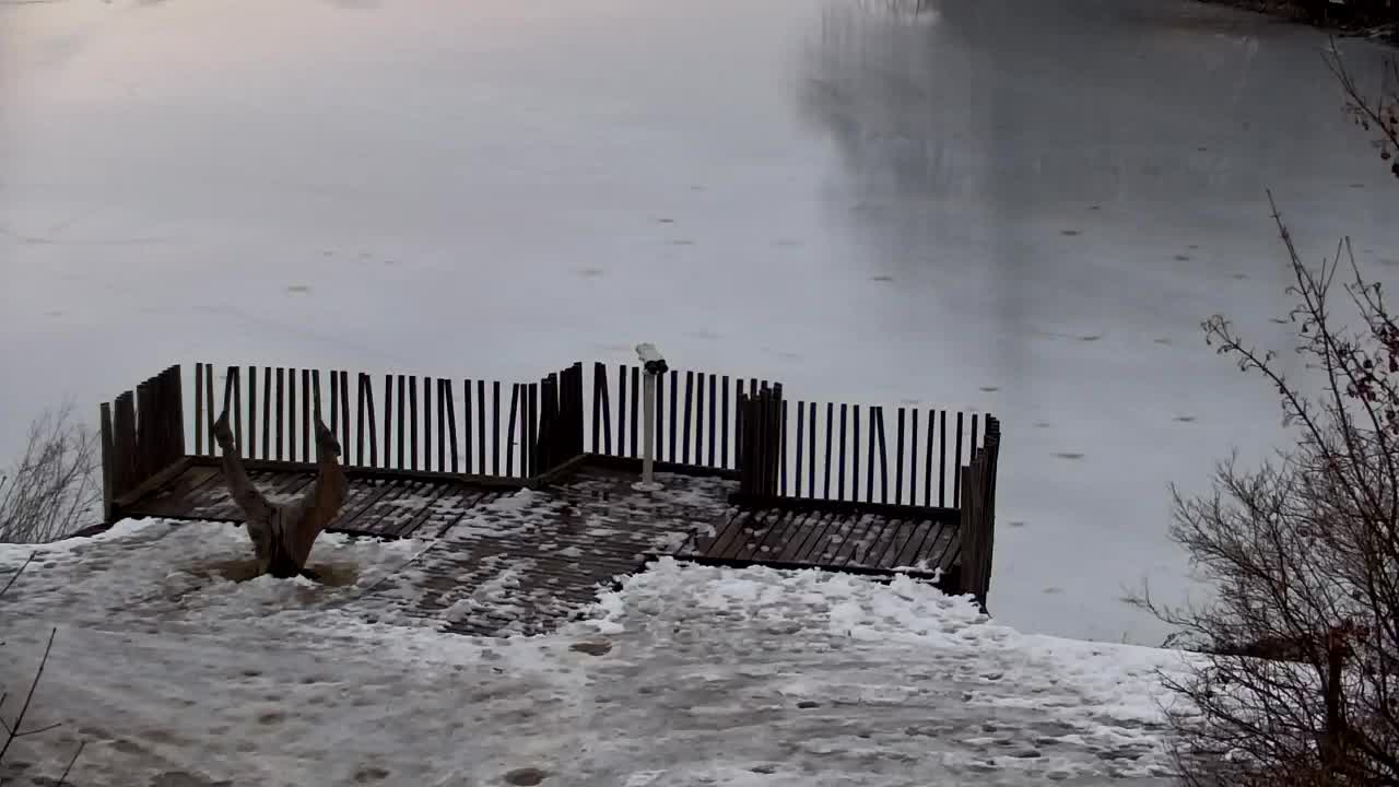 Spletna kamera Ribnik Vrbje – Žalec