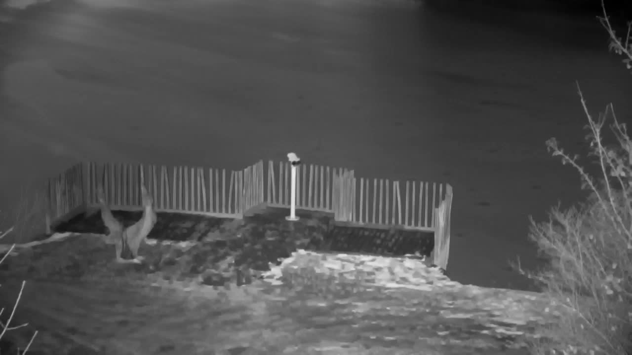 Webcam Ribnik Vrbje – Žalec