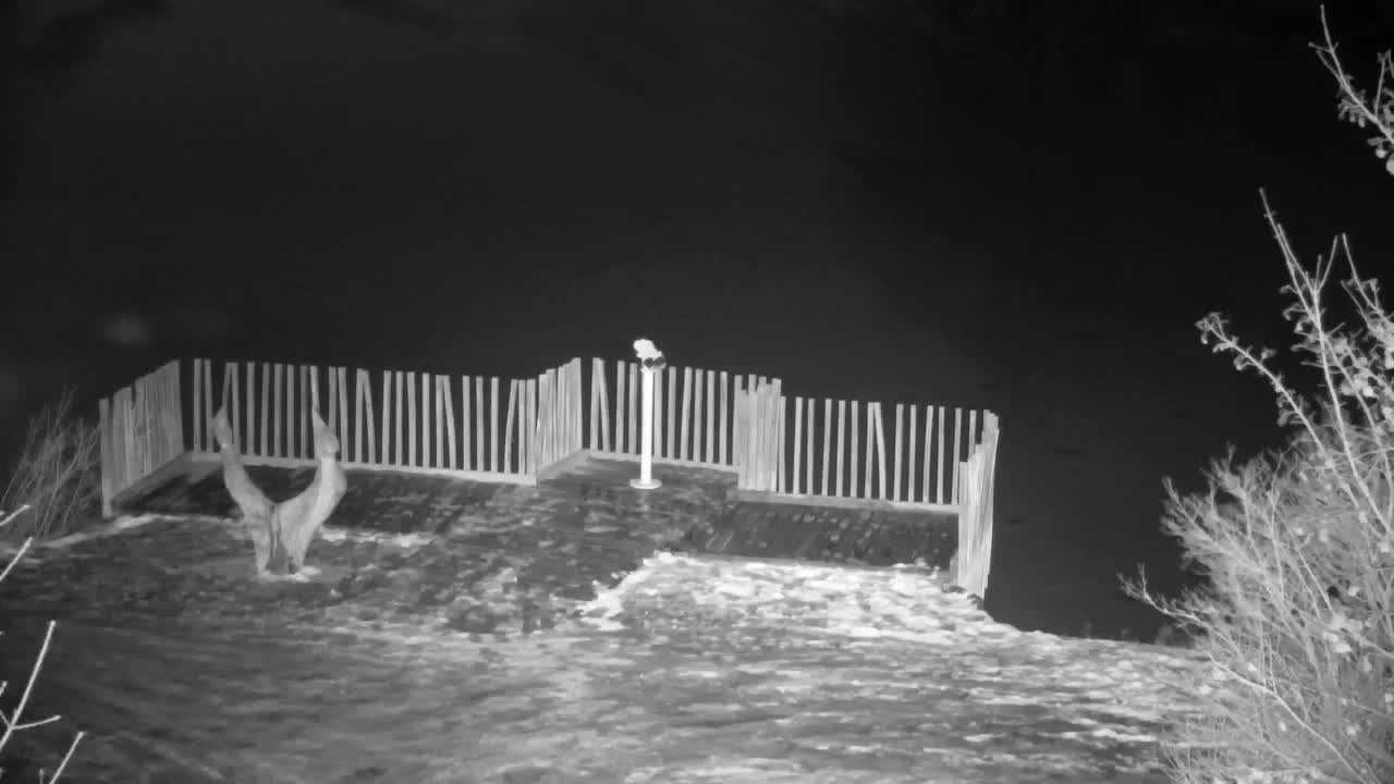 Webcam Ribnik Vrbje – Žalec