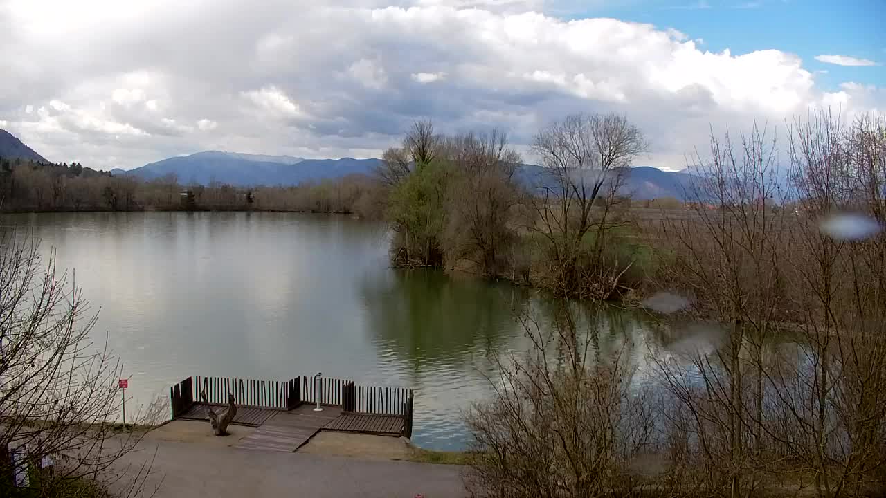 Webcam Ribnik Vrbje – Žalec