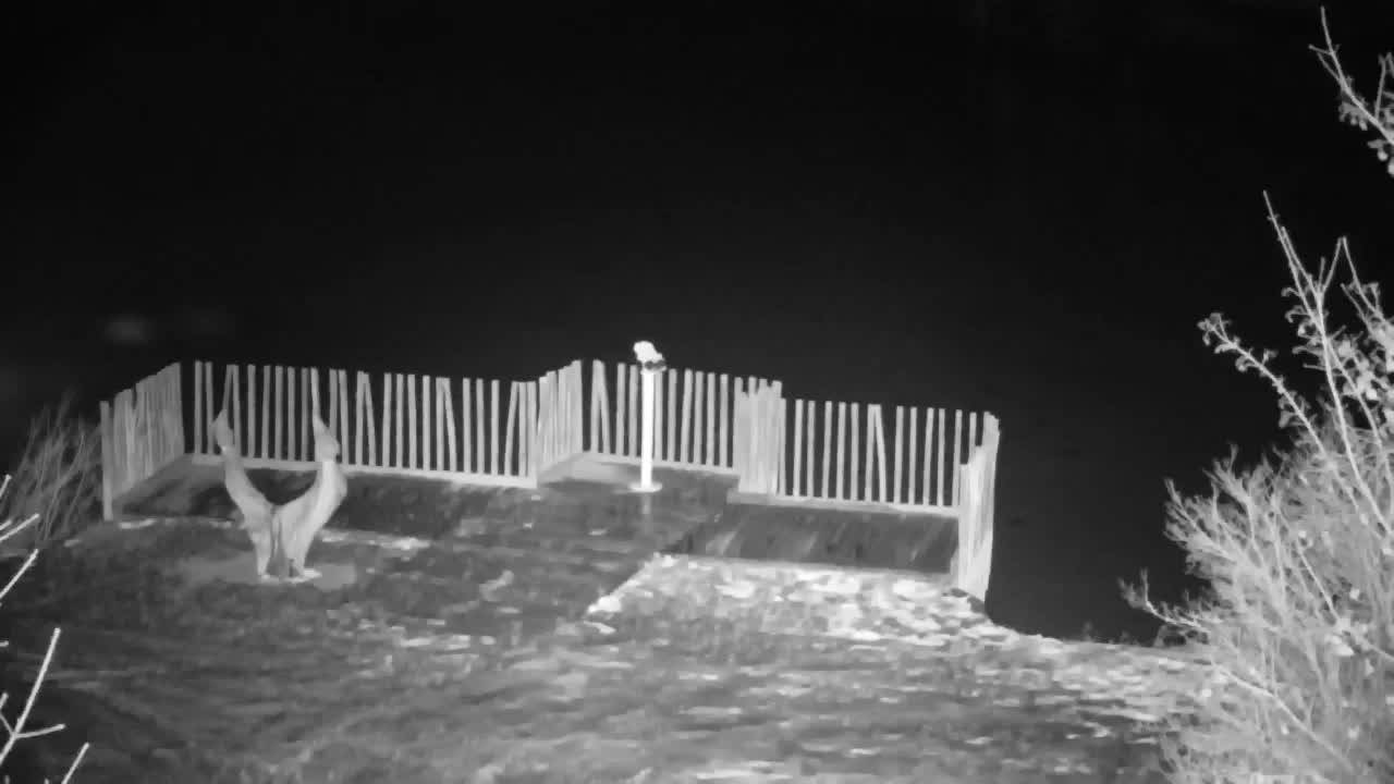 Webcam Ribnik Vrbje – Žalec