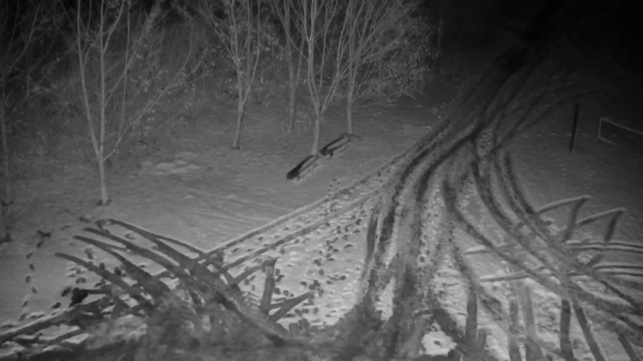 Webcam Ribnik Vrbje – Žalec