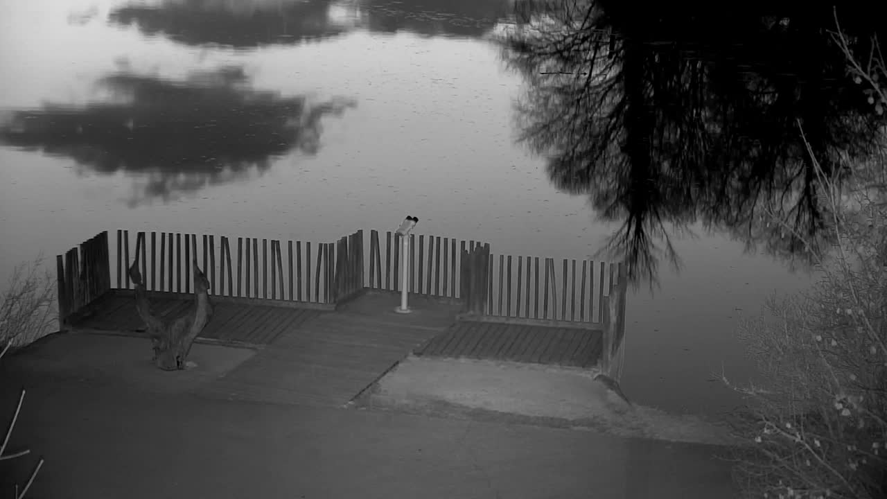 Webcam Ribnik Vrbje – Žalec