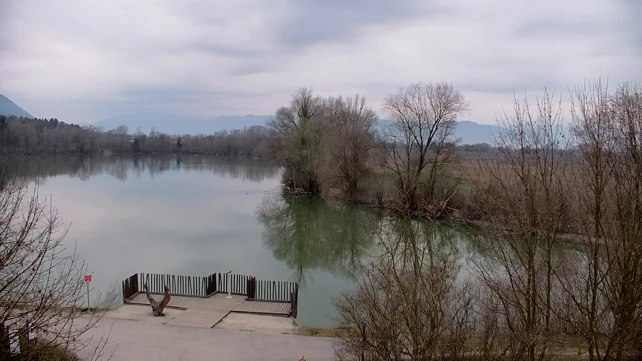 Webcam Ribnik Vrbje – Žalec