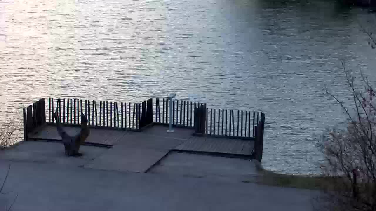 Webcam Ribnik Vrbje – Žalec