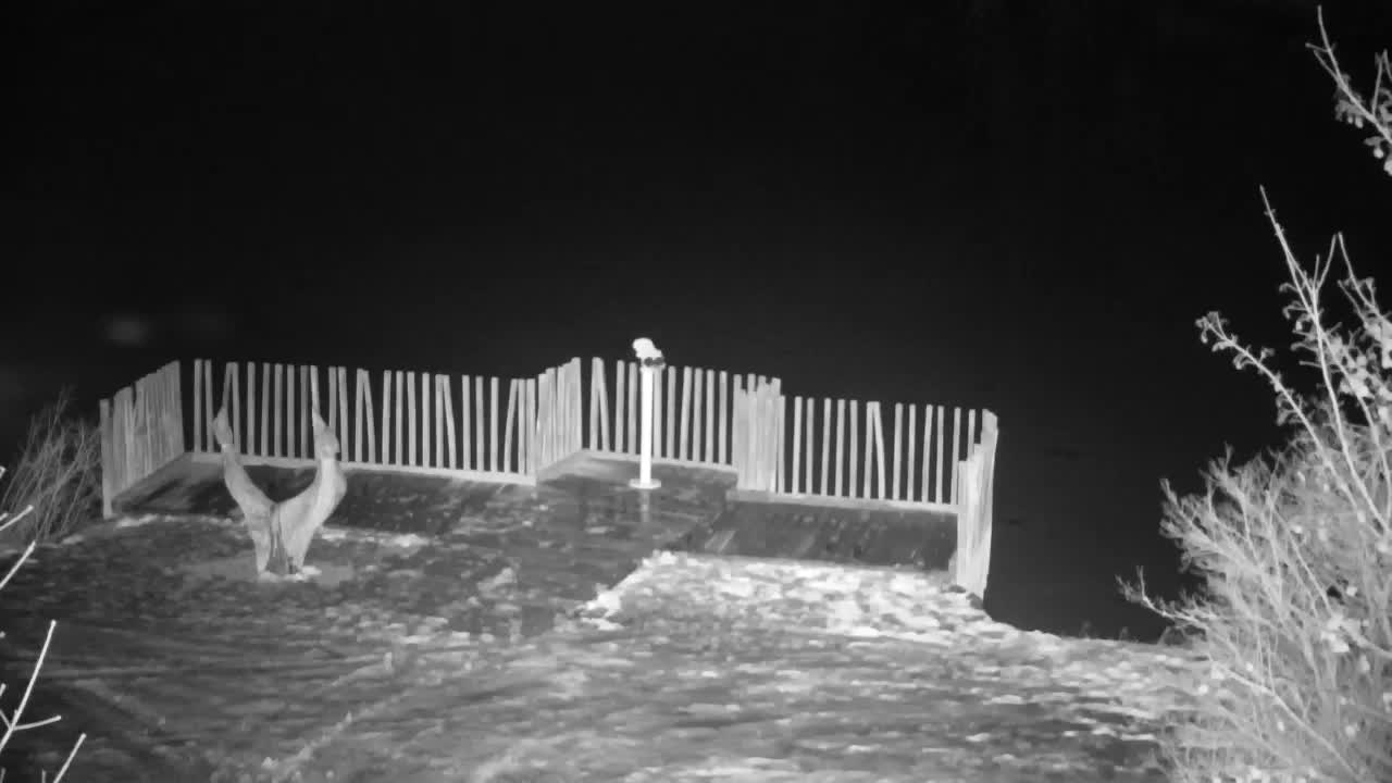 Webcam Ribnik Vrbje – Žalec