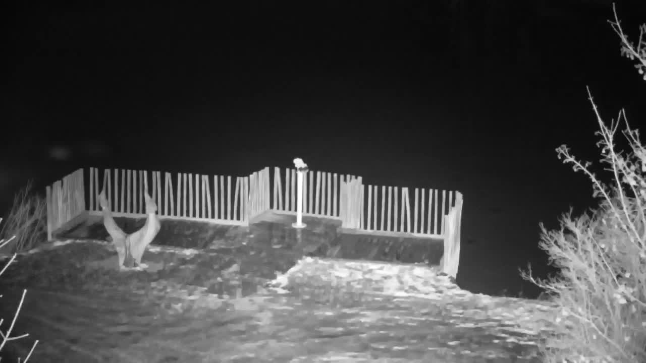 Webcam Ribnik Vrbje – Žalec