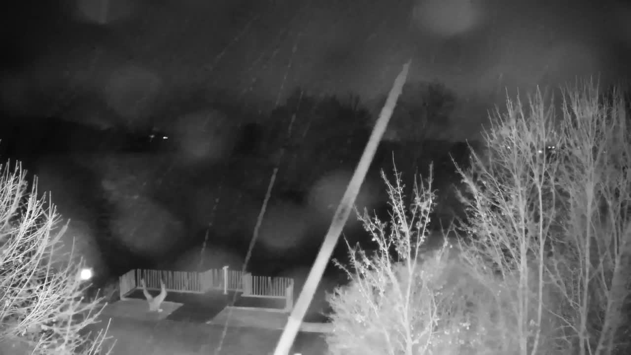 Webcam Ribnik Vrbje – Žalec