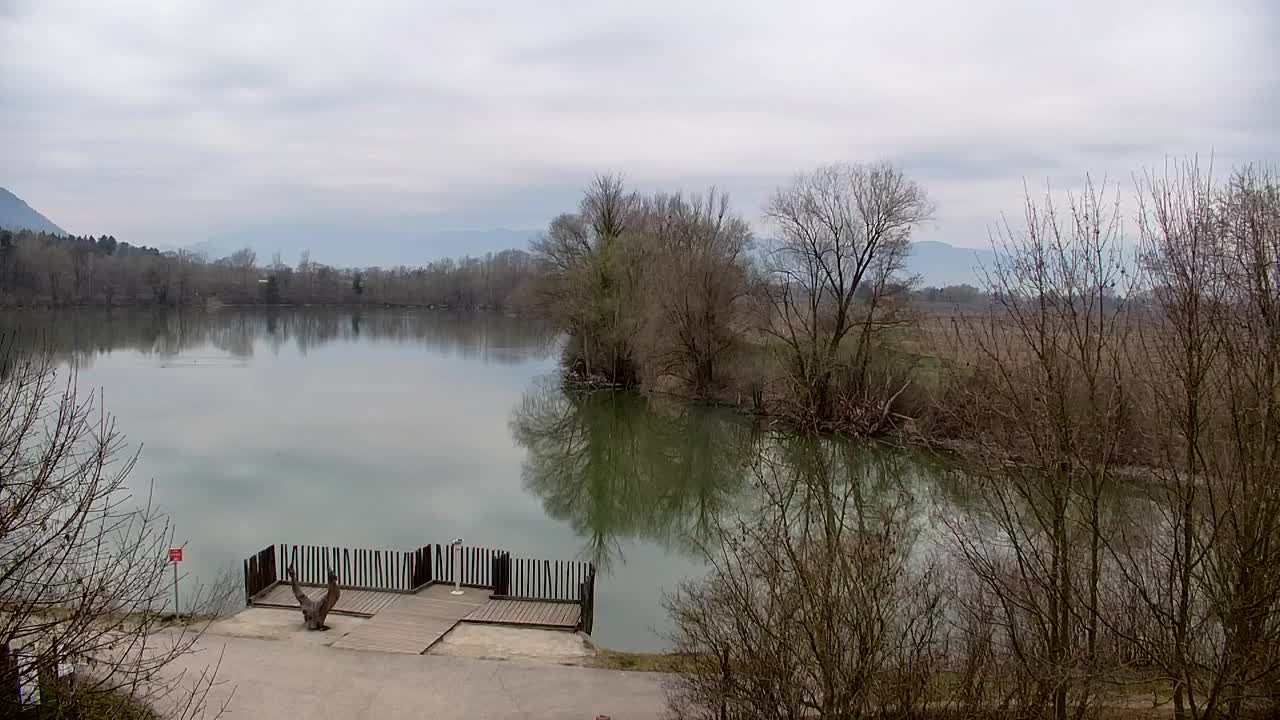 Spletna kamera Ribnik Vrbje – Žalec