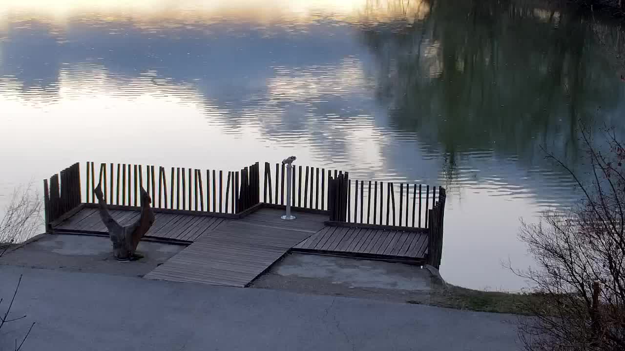 Webcam Ribnik Vrbje – Žalec