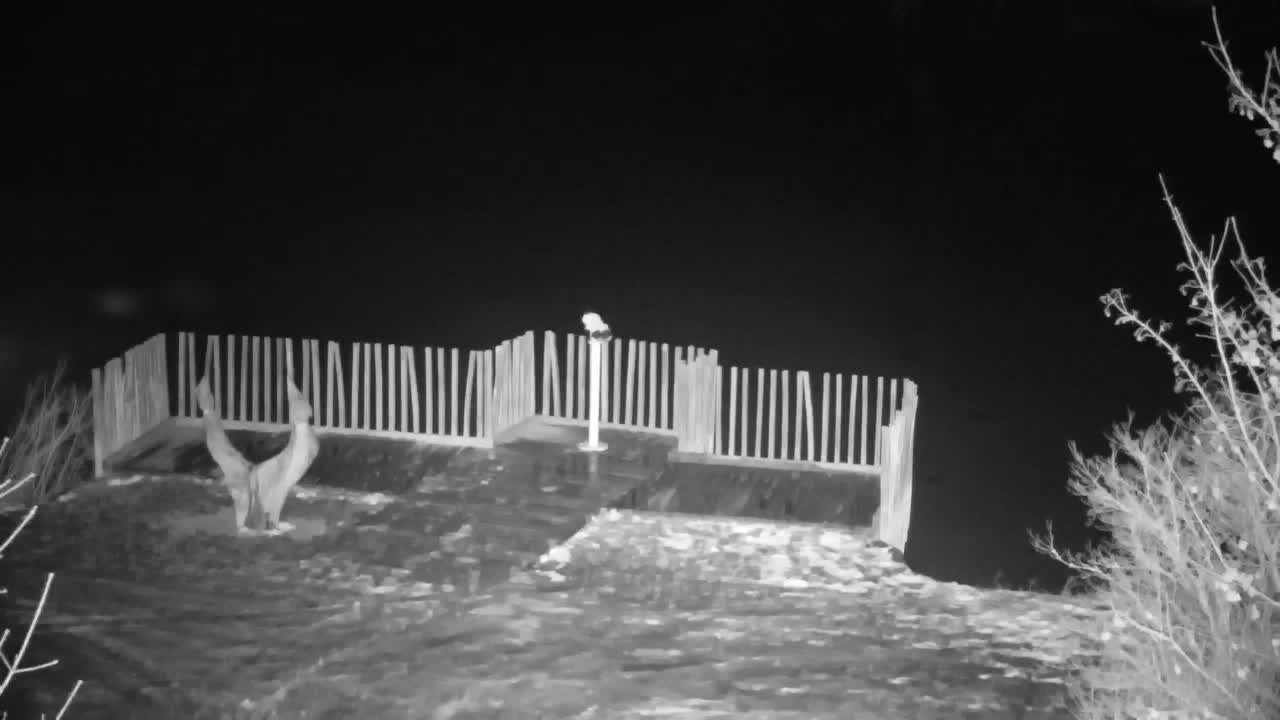 Spletna kamera Ribnik Vrbje – Žalec