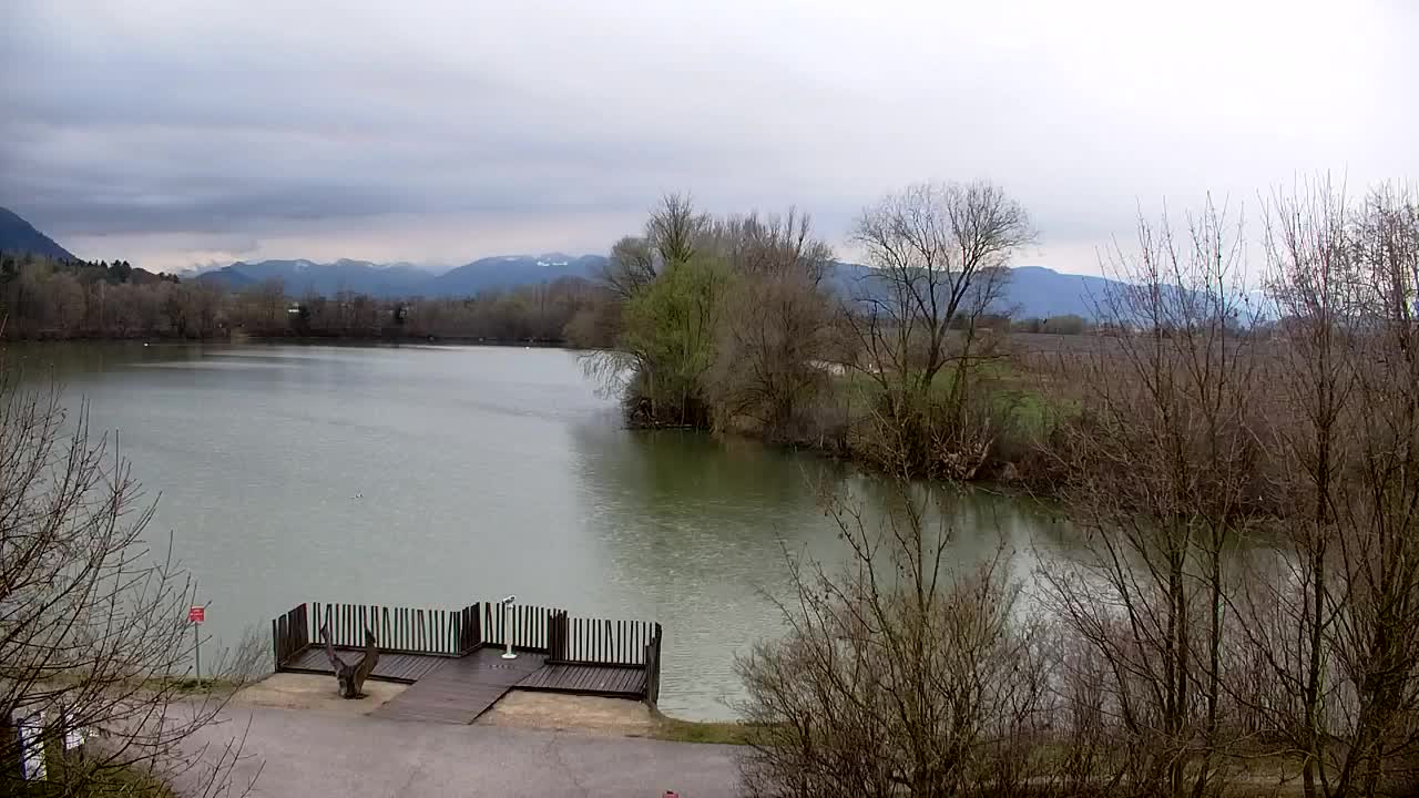 Webcam Ribnik Vrbje – Žalec