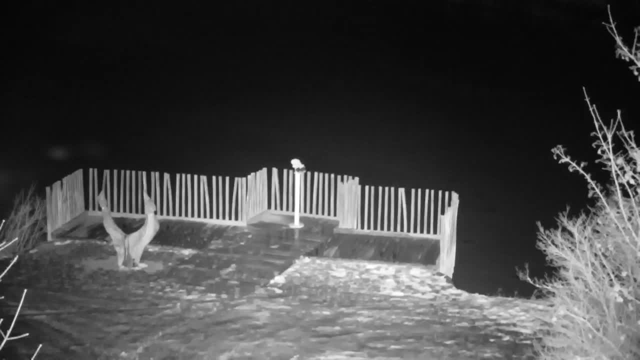 Spletna kamera Ribnik Vrbje – Žalec