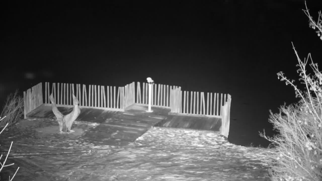 Webcam Ribnik Vrbje – Žalec