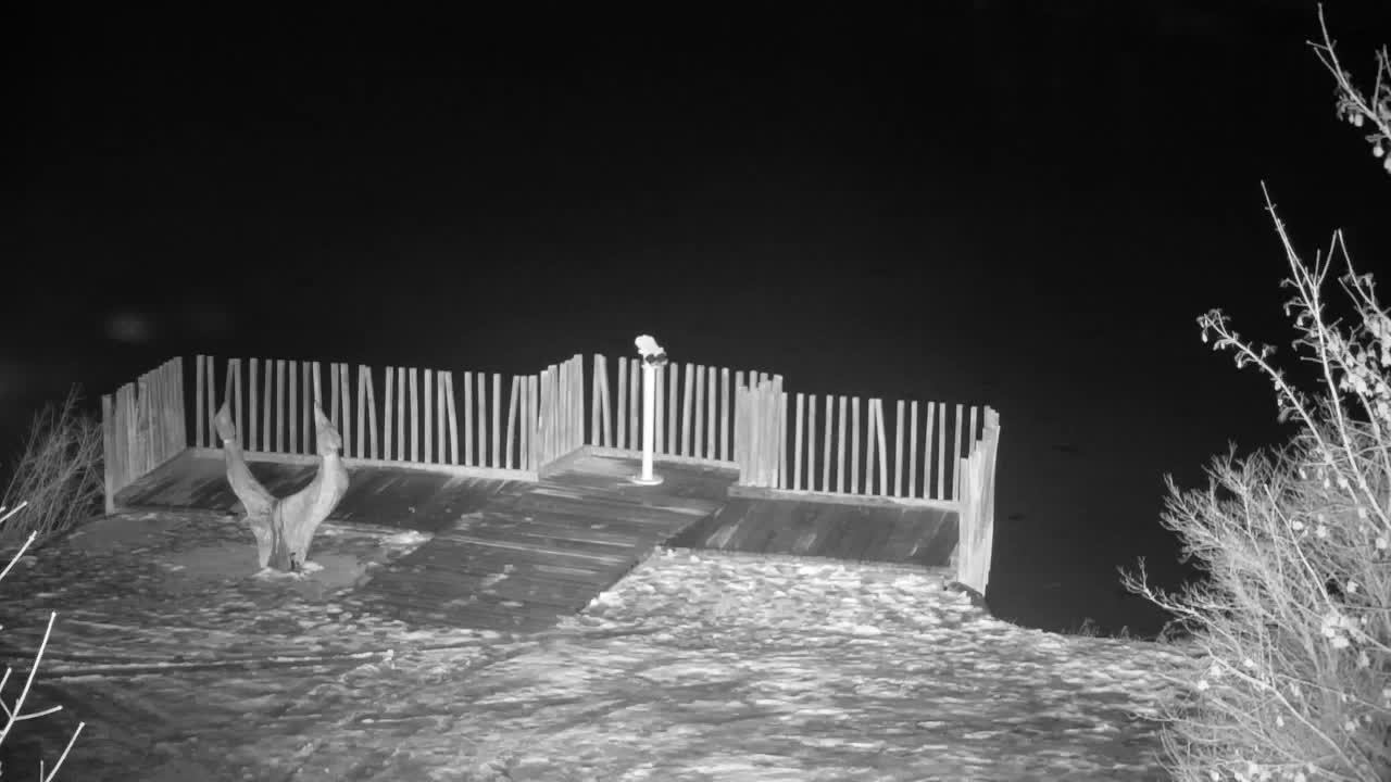 Webcam Ribnik Vrbje – Žalec