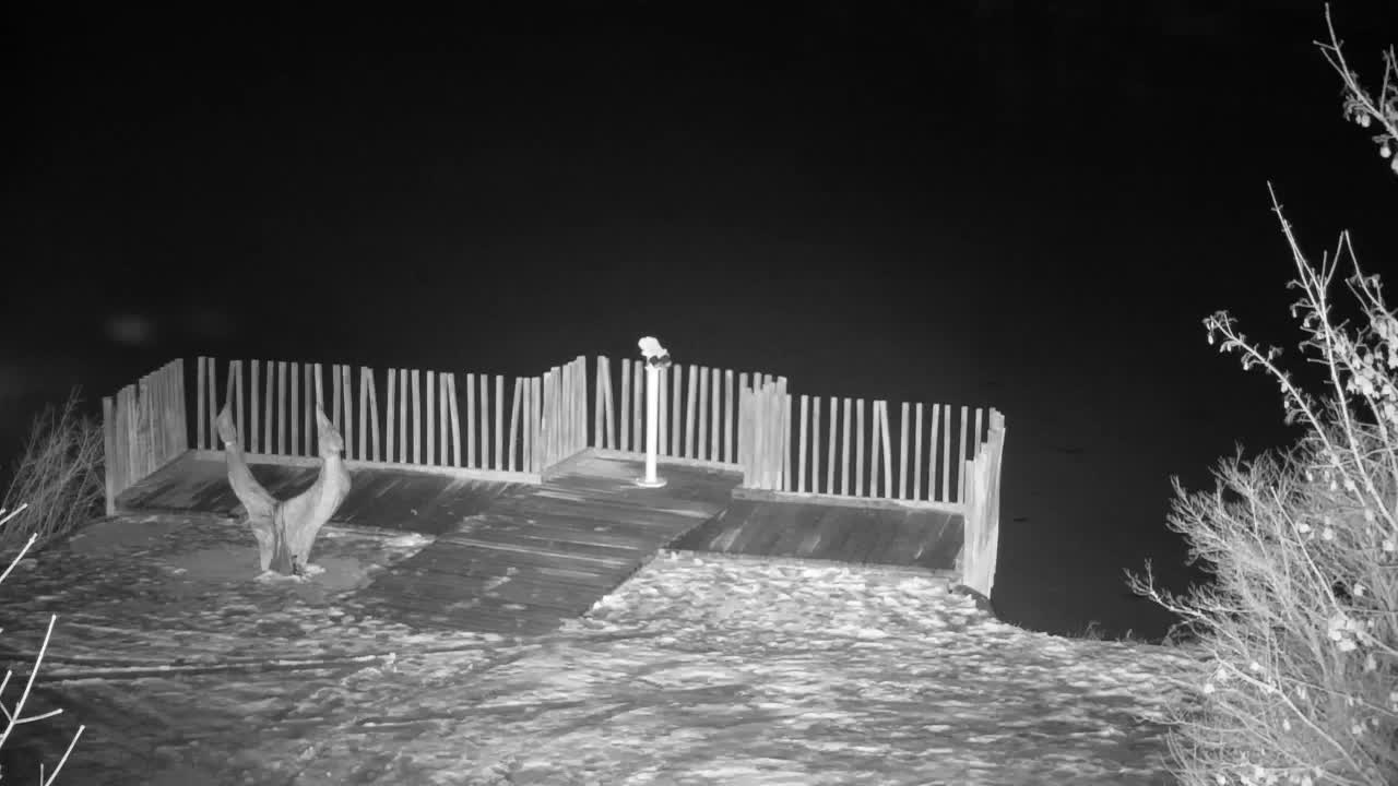 Spletna kamera Ribnik Vrbje – Žalec