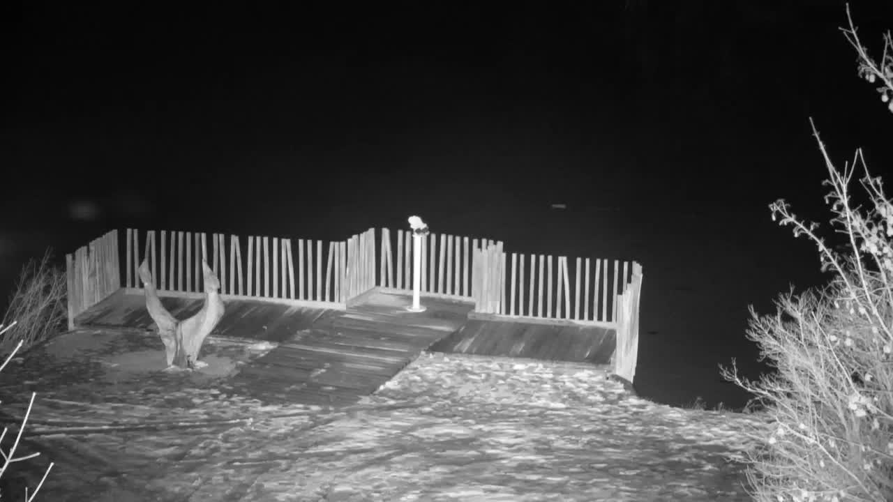 Webcam Ribnik Vrbje – Žalec